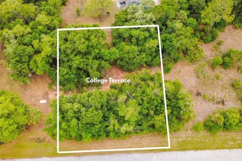 Land in North Port, Florida № 2390963 - photo 13