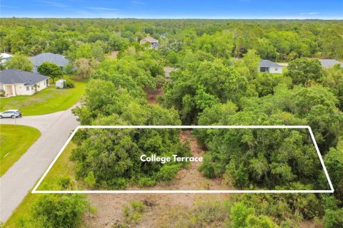 Land in North Port, Florida № 2390963 - photo 15