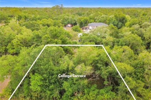 Land in North Port, Florida № 2390963 - photo 14