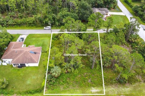 Land in North Port, Florida № 2390963 - photo 6