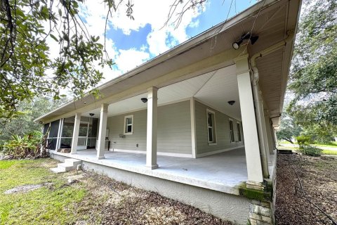 House in Arcadia, Florida 5 bedrooms, 465.44 sq.m. № 1812626 - photo 6