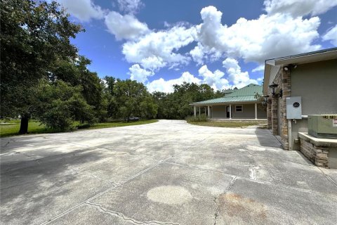 House in Arcadia, Florida 5 bedrooms, 465.44 sq.m. № 1812626 - photo 8