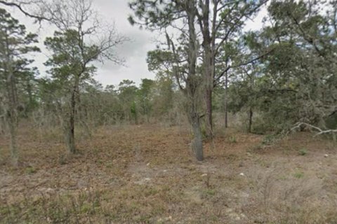 Terreno en venta en Dunnellon, Florida № 1907175 - foto 1
