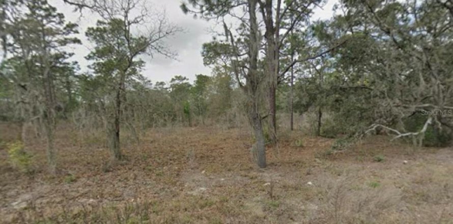 Terrain à Dunnellon, Floride № 1907175