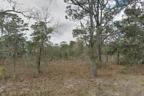 Terreno en venta en Dunnellon, Florida № 1907175 - foto 3