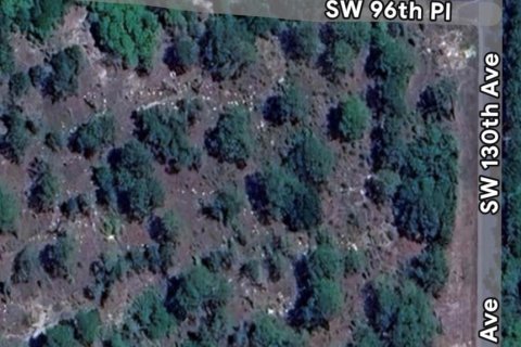 Terreno en venta en Dunnellon, Florida № 1907175 - foto 2