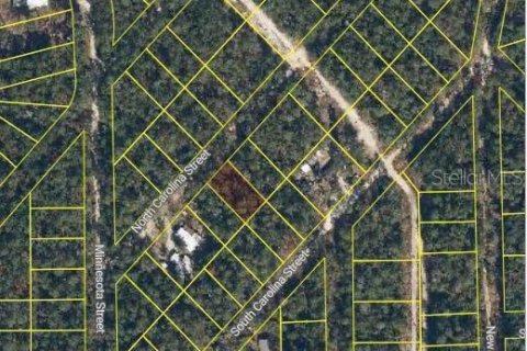 Land in Satsuma, Florida № 2162682 - photo 2