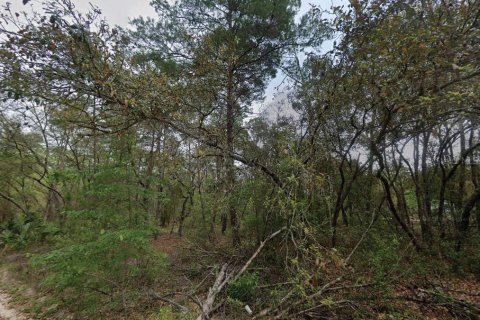 Land in Satsuma, Florida № 2162682