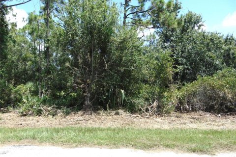 Land in Port Charlotte, Florida № 2161138 - photo 2