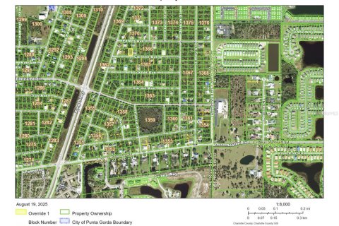 Land in Port Charlotte, Florida № 2161138 - photo 6