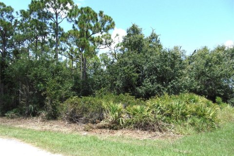 Land in Port Charlotte, Florida № 2161138 - photo 3