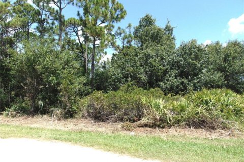Land in Port Charlotte, Florida № 2161138