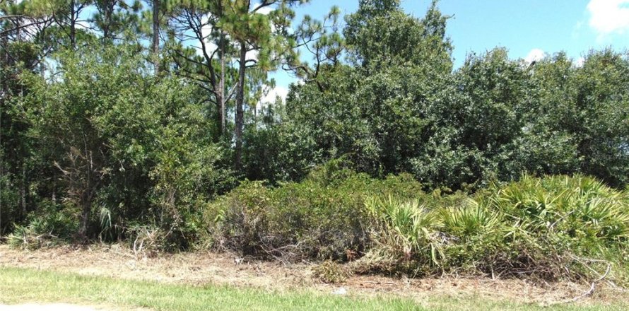 Land in Port Charlotte, Florida № 2161138