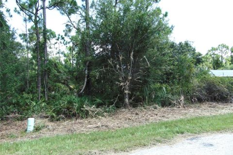 Land in Port Charlotte, Florida № 2161138 - photo 4