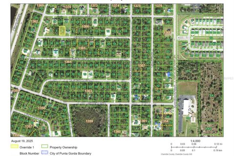 Land in Port Charlotte, Florida № 2161138 - photo 7