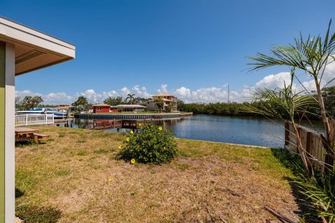 Villa ou maison à vendre à Saint Petersburg, Floride: 4 chambres, 130.81 m2 № 1509550 - photo 14
