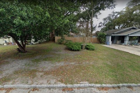Land in Tampa, Florida № 1901730 - photo 1