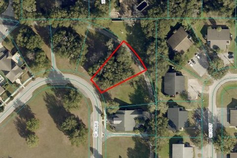 Terreno en venta en Ocala, Florida № 1722500 - foto 1