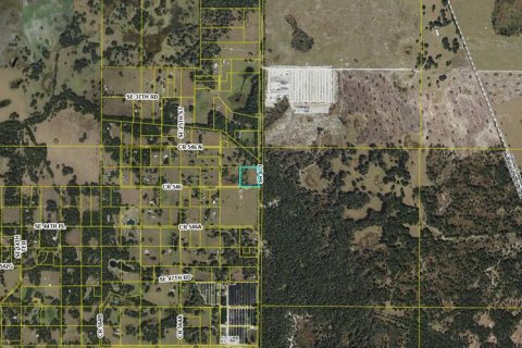 Land in Bushnell, Florida № 1721614 - photo 5