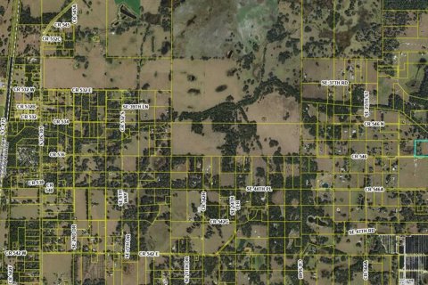 Land in Bushnell, Florida № 1721614 - photo 4