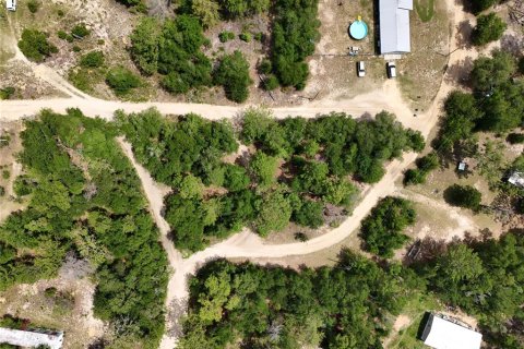 Terreno en venta en Interlachen, Florida № 2221216 - foto 16