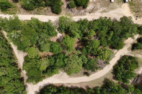 Terreno en venta en Interlachen, Florida № 2221216 - foto 17