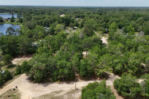 Terreno en venta en Interlachen, Florida № 2221216 - foto 14