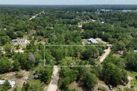 Terreno en Interlachen, Florida № 2221216