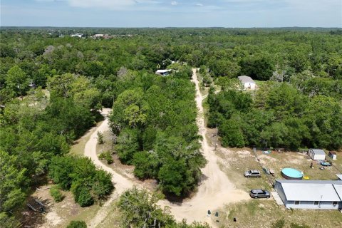 Terreno en venta en Interlachen, Florida № 2221216 - foto 15
