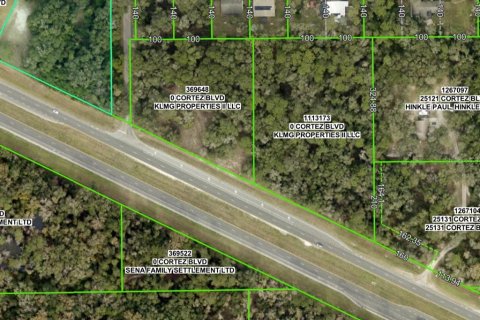 Terreno en venta en Brooksville, Florida № 1828641 - foto 4