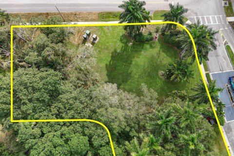Commercial property in West Palm Beach, Florida № 2182984 - photo 14