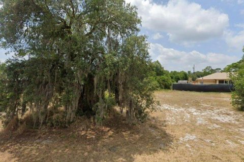 Land in Sebring, Florida № 2228638