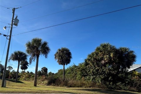 Land in Port Charlotte, Florida № 2329443