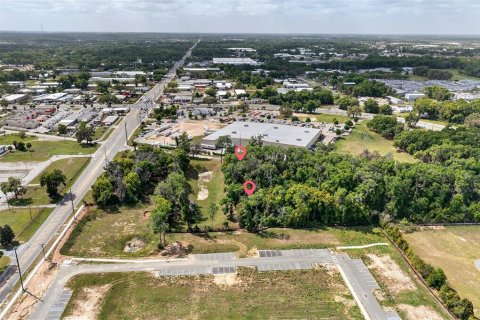 Land in Ocala, Florida № 2213162 - photo 7