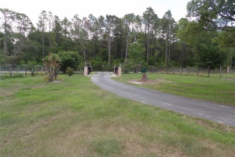 House in Spring Hill, Florida 3 bedrooms, 172.98 sq.m. № 2225106 - photo 4