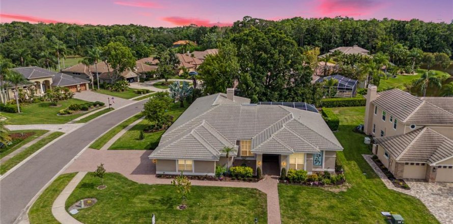 Villa ou maison à Oldsmar, Floride 5 chambres, 357.58 m2 № 2149876