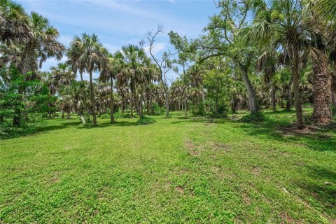 Land in Nokomis, Florida № 2275529 - photo 7