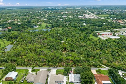 Land in Nokomis, Florida № 2275529 - photo 3