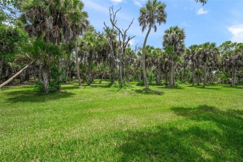 Land in Nokomis, Florida № 2275529 - photo 9