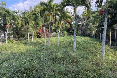 Land in Miami, Florida № 1994133 - photo 2
