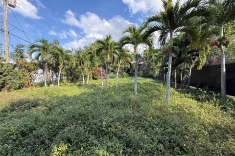 Land in Miami, Florida № 1994133 - photo 3