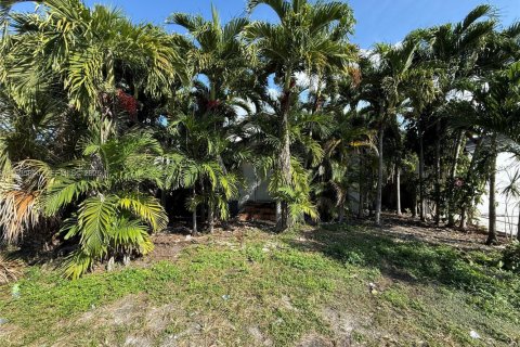 Land in Miami, Florida № 1994133 - photo 1
