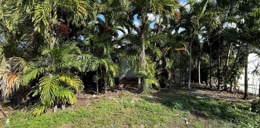 Land in Miami, Florida № 1994133