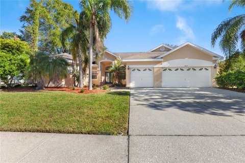 House in Palm Harbor, Florida 4 bedrooms, 255.67 sq.m. № 1559351 - photo 1
