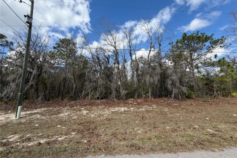 Land in Ocala, Florida № 2160532