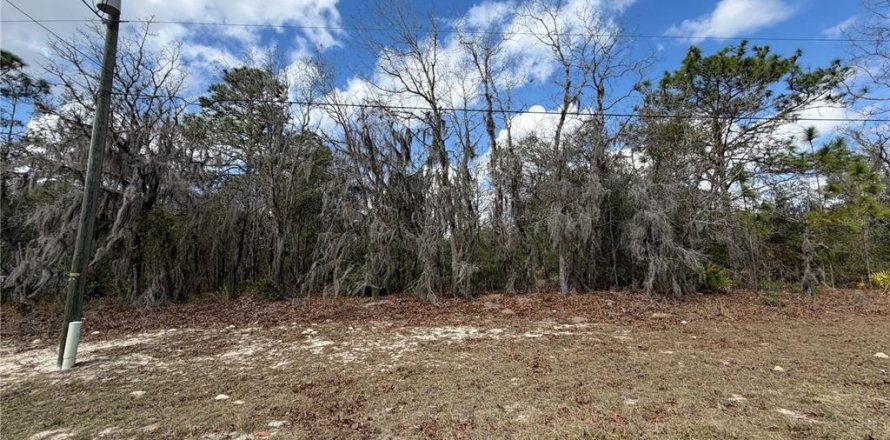 Land in Ocala, Florida № 2160532