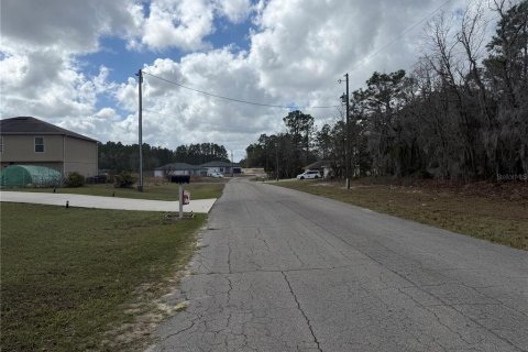 Land in Ocala, Florida № 2160532 - photo 3