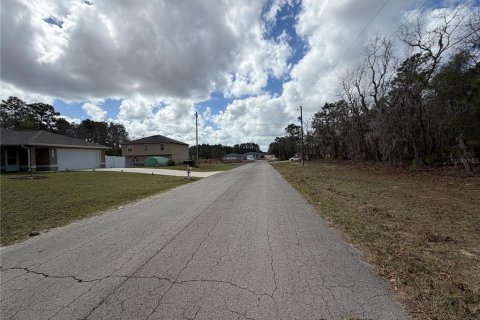 Land in Ocala, Florida № 2160532 - photo 2