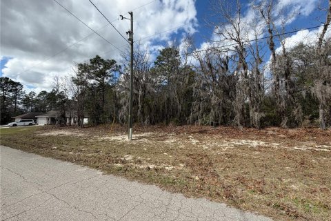 Land in Ocala, Florida № 2160532 - photo 4