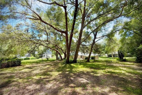 Villa ou maison à vendre à Mount Dora, Floride: 3 chambres, 203.64 m2 № 2126799 - photo 2